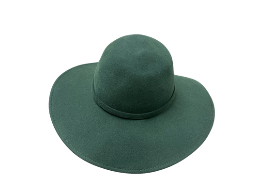 Wide Brim Felt Hat
